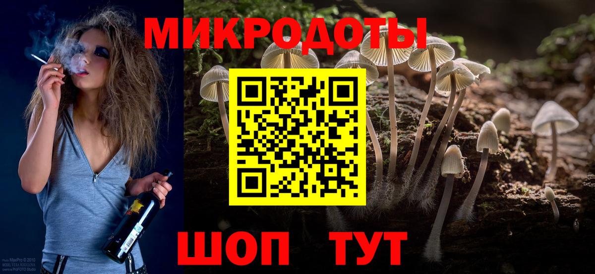 Елабуга  Псилоцибиновые грибы прущие грибы  Вход с VPN 